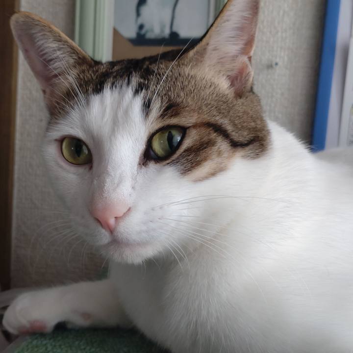 3d83fb94 654b 4aaf b72f e641290b19ee 1704590904263