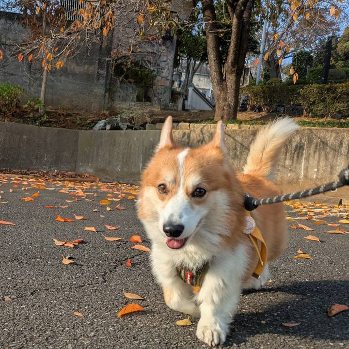 3d8407e1 f80c 4899 b504 9ab78eb7a938 1764644017103