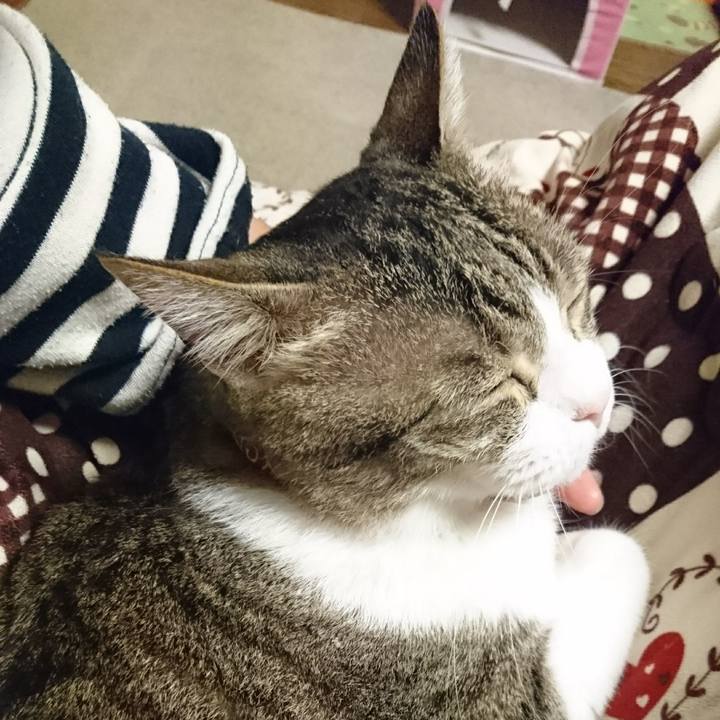 3d841a10 64d5 4a6e 8aba d033983bd73a 1525958143619