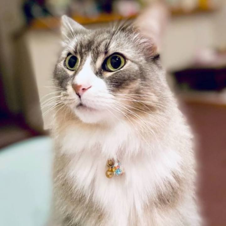 3d842406 d96f 4be6 8a53 b8ff283547b5 1757000856931