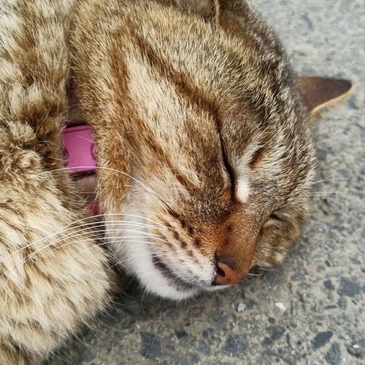 3d842a66 8fc6 4a03 b0ad 8d3761e51c07 1515761186047