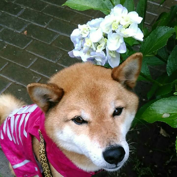 3d84435d 7040 480b a738 6fbda5db4dac 1560604834908