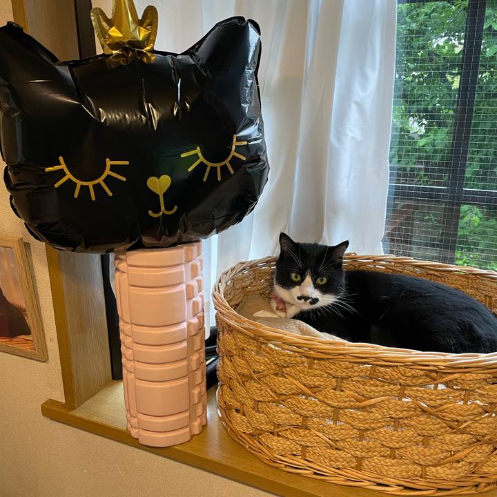 3d84465a 536b 480e 9d78 a88f3d3915ff 1716154756359