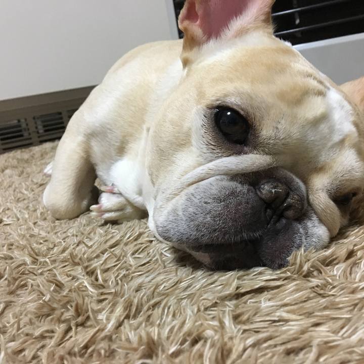 3d846a8b 41ae 40a5 9c68 f4c89f842f73 1510493345678