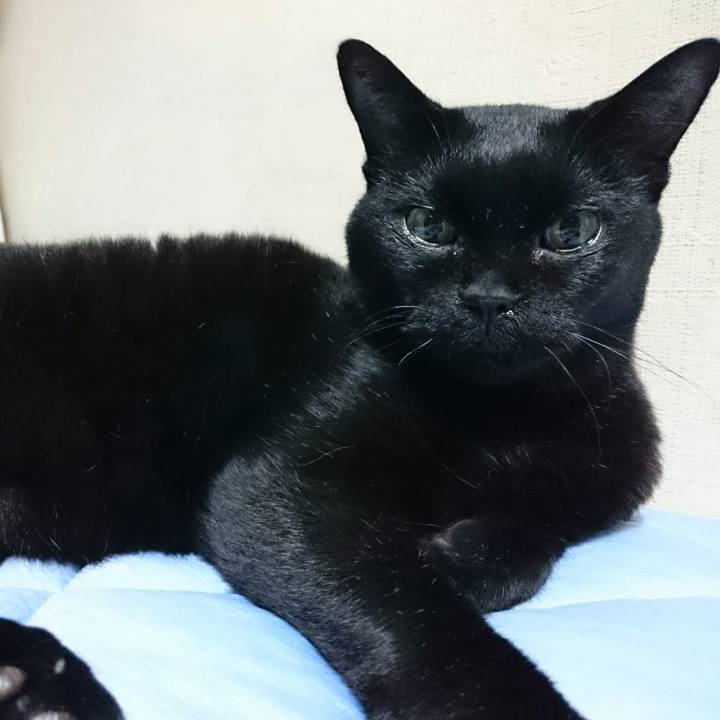 3d84b35a db17 4583 8ea2 05b9ace17fce 1515542256199