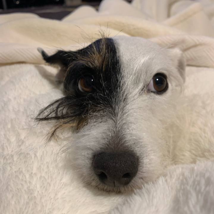 3d84d591 76bd 4f81 bbf4 b064eb303643 1670242345682