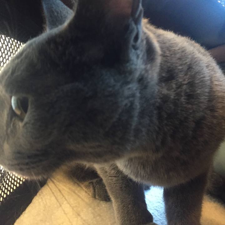 3d84ea6a 0383 4bb5 8862 12f57e850c32 1574118956727