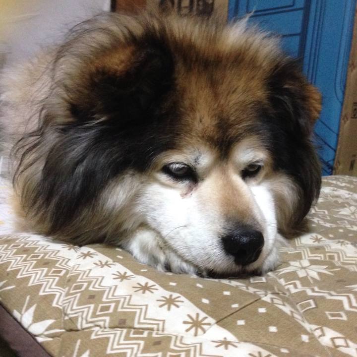 3d84ec55 0404 4d75 aa73 9a07e37e3114 1554690876116