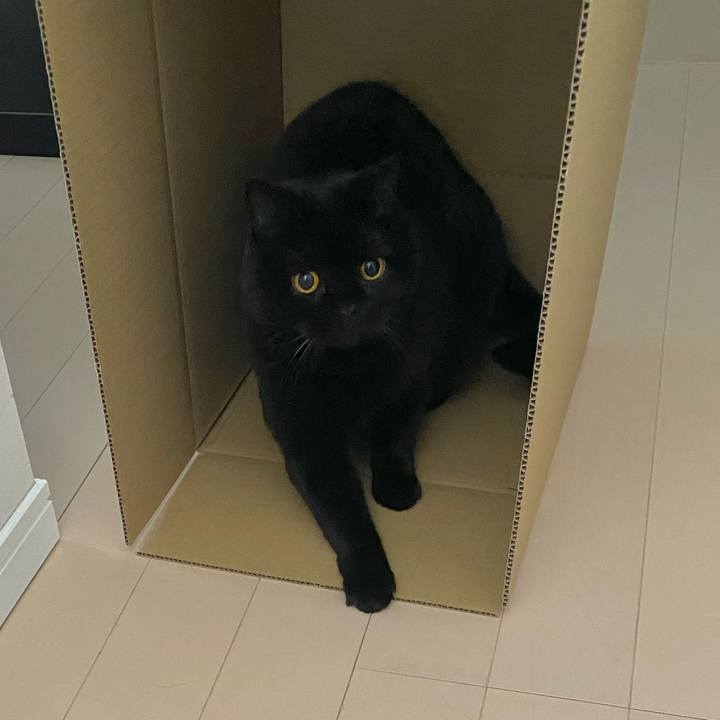 3d84fae1 21ec 4782 ae6b 539b9742496a 1775107958668