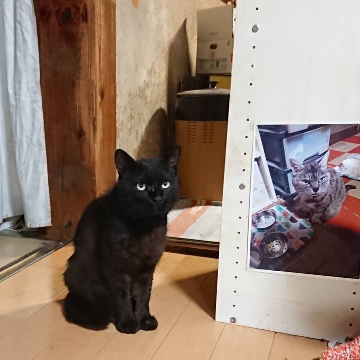 3d850633 aebe 43cd 842a e50944507c01 1624275520612