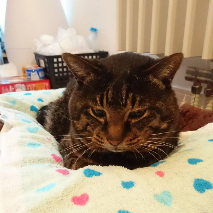 3d8515e1 df88 4087 93ed 63de47d7dff0 1548976557955