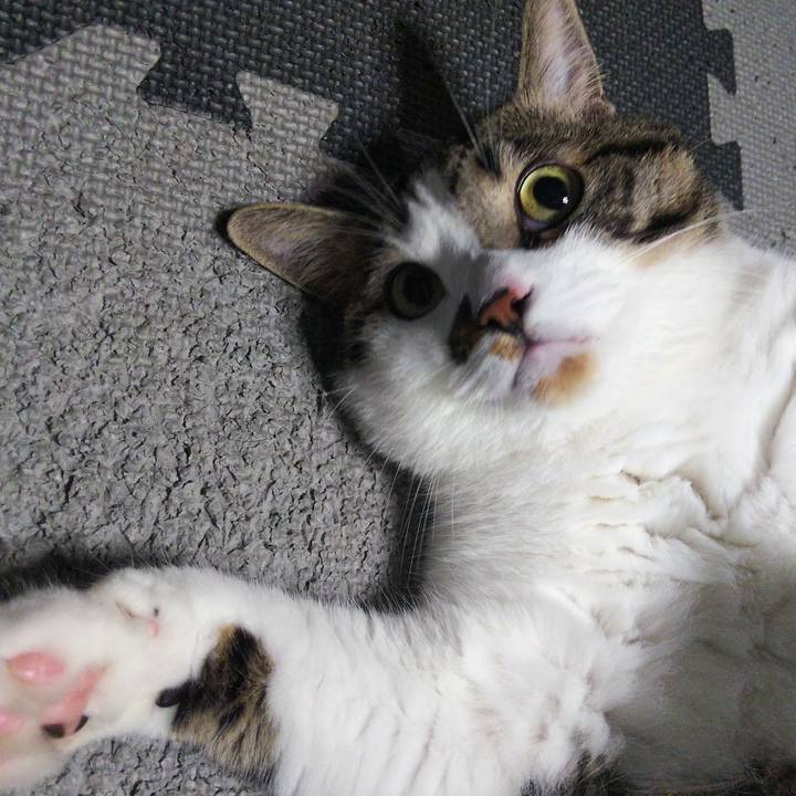 3d854c29 3a2e 451f a9e1 f398ad5581fd 1658842463835