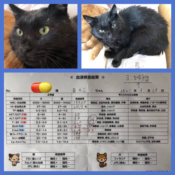 3d857652 2ba7 43bd 9913 fac9c47b9523 1615618866345