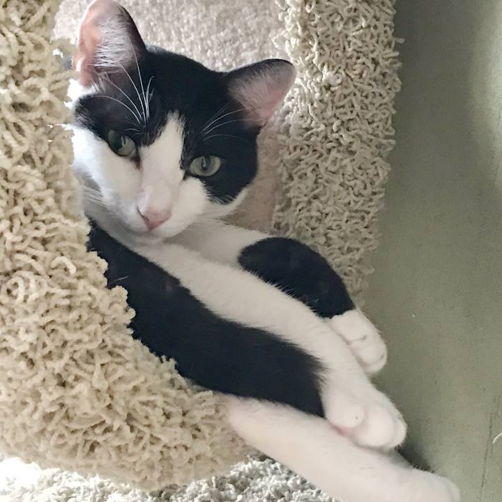 3d85f76d 027a 420f 9fd2 395df65137fe 1535593264395