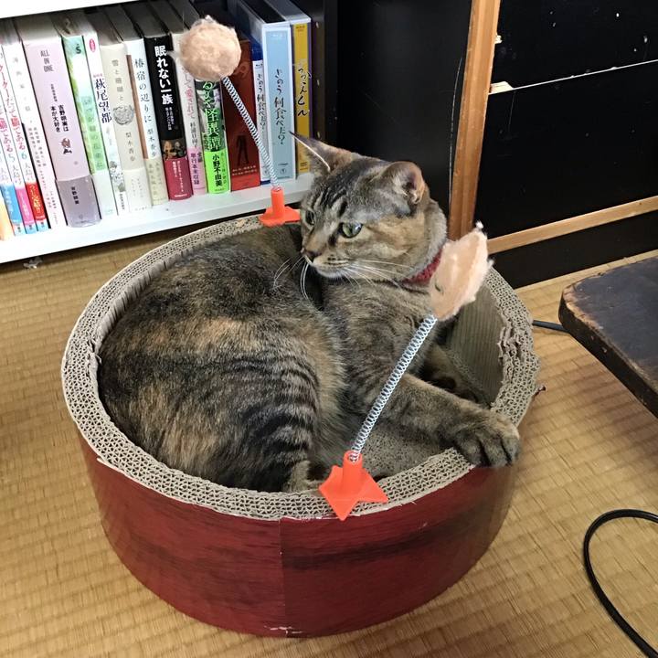 3d85fcb4 9405 4863 ac37 20ecdf4312f3 1641698907772