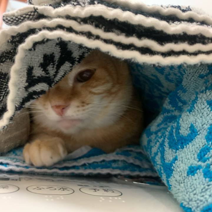 3d8634de f1be 4666 ab5c a73640236369 1586177240095