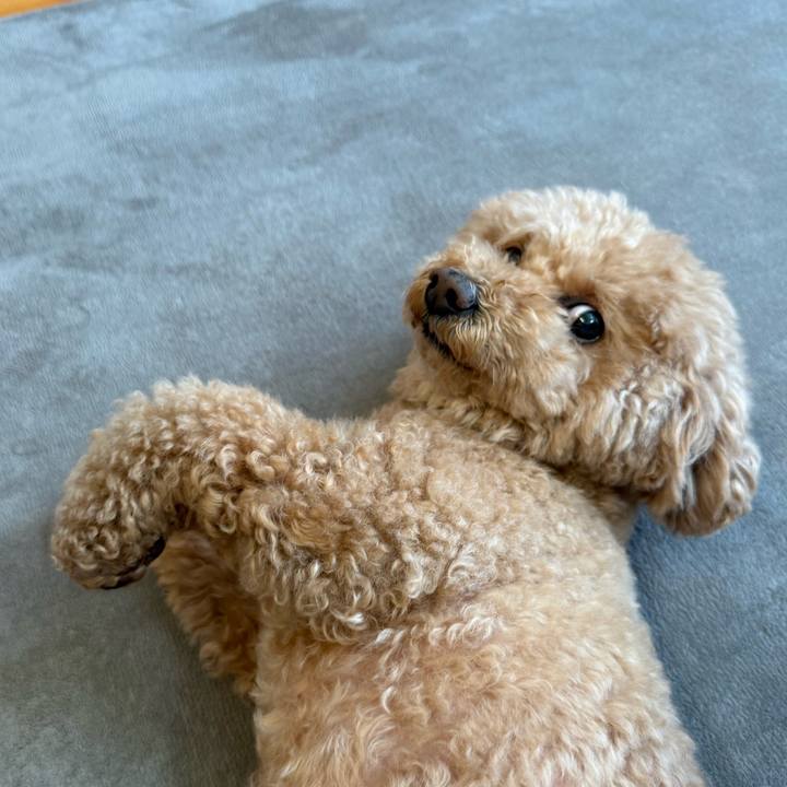 3d8668a0 d878 4df7 b482 17225c9e1b0f 1775001590200