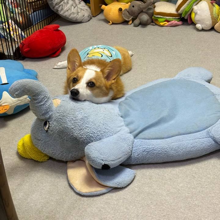 3d868b36 0937 45f2 9c72 61a6bd356233 1759500292633