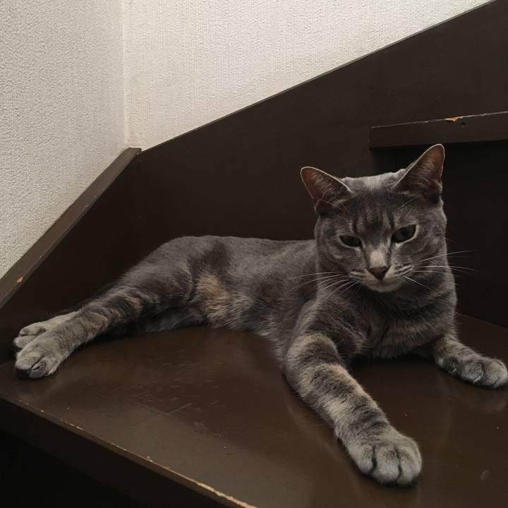 3d869aec 7fd4 487e baaf ca1c70a2a3cf 1566376621198