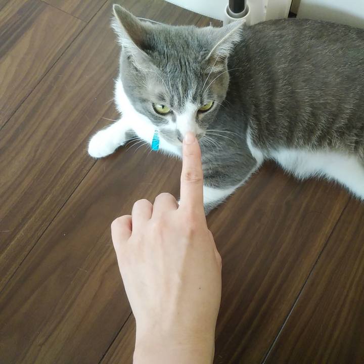 3d86c387 6c38 49a6 bcc1 3094c8d9149e 1591313438740