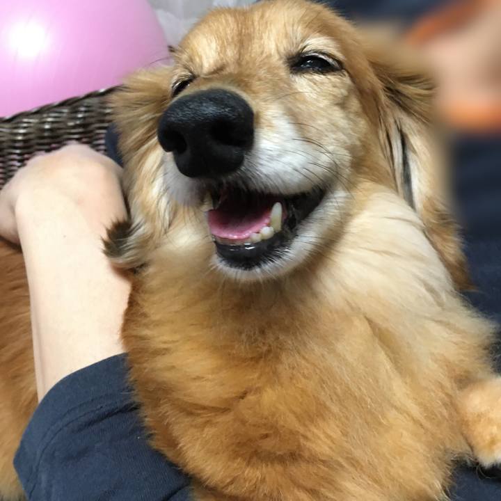 3d8712d1 6522 4fc9 9dfc ff5884bc9e93 1634381994838