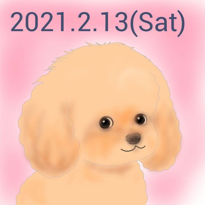 3d87354c cc68 4130 9269 a7af554c3a7a 1613211433846