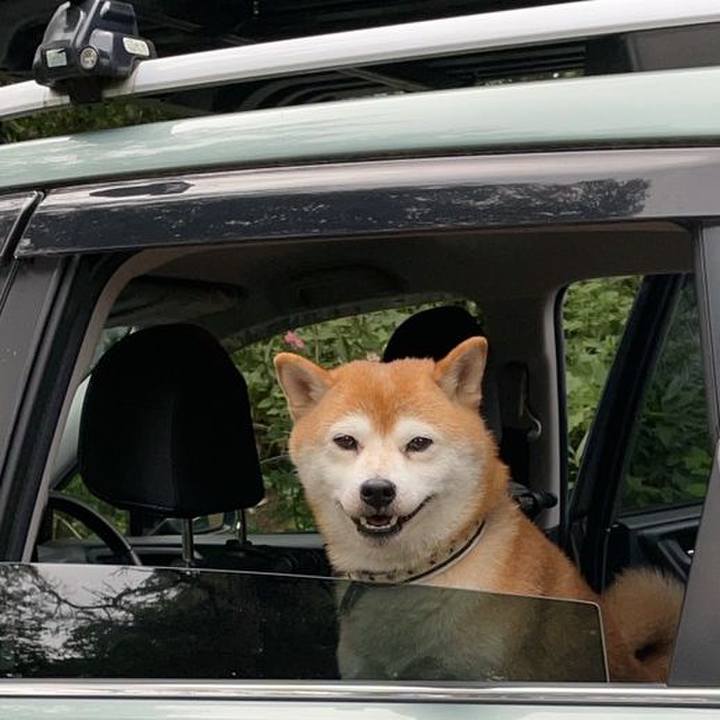 3d874371 82da 44de a0c8 a5d0709f66cc 1629099971974