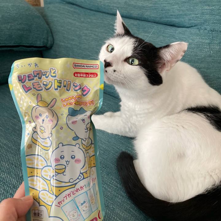 3d877328 4642 47cb 900e d4e90ccc71bd 1759538197909