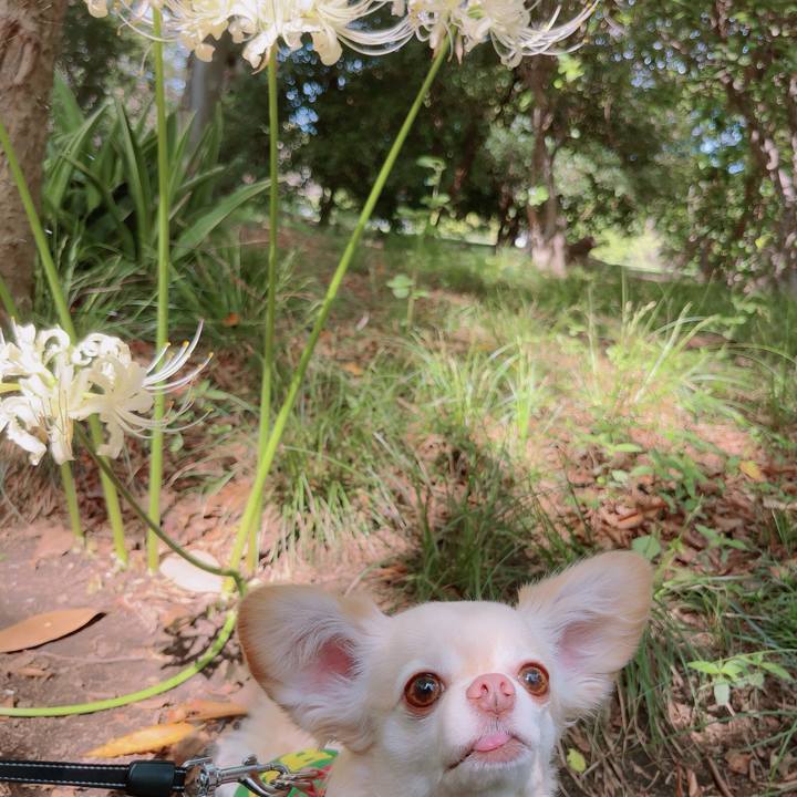 3d878342 9382 438d a88b 5c56c4185d5f 1759274443618