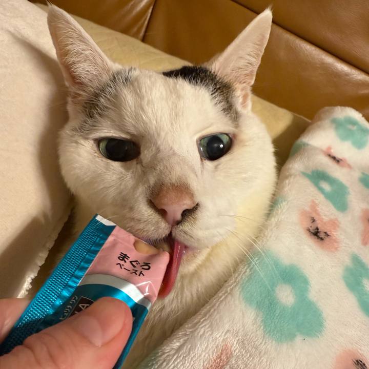 3d878d34 8510 4425 ae70 f572cd53dd94 1764075832593