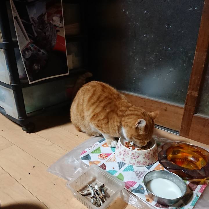 3d878d75 ddd4 4168 9cbe 798573a85796 1606679778134