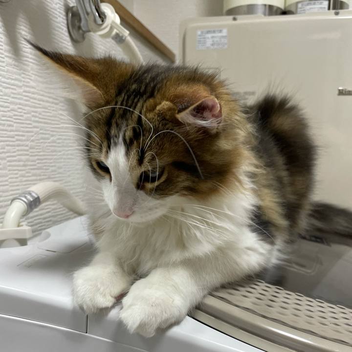 3d87d85e 556b 4db8 aa4f 16e99f65aa73 1635800575400