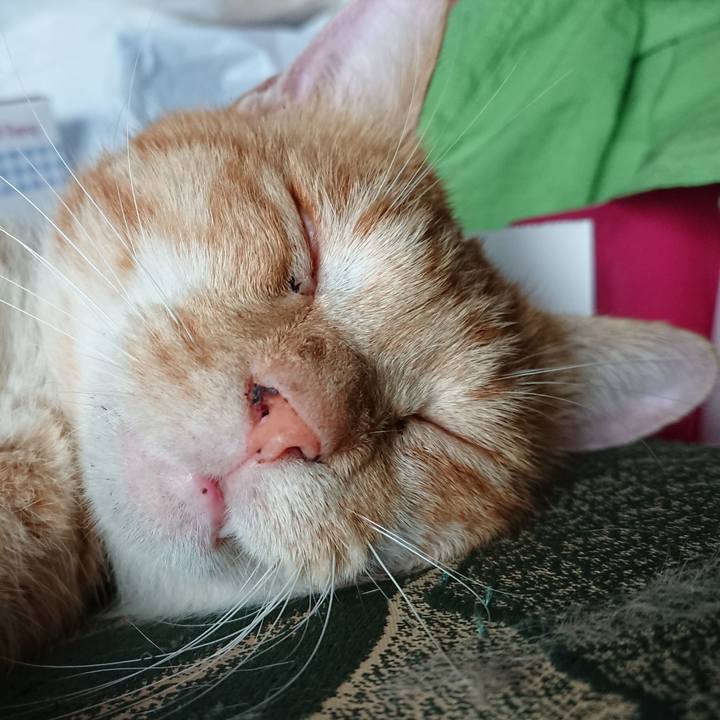 3d88444e 70aa 4ddb be9b be28d909538c 1566424462933