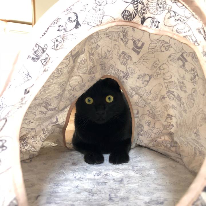 3d88633a 707e 46c5 b976 aa21d721acff 1534662343910