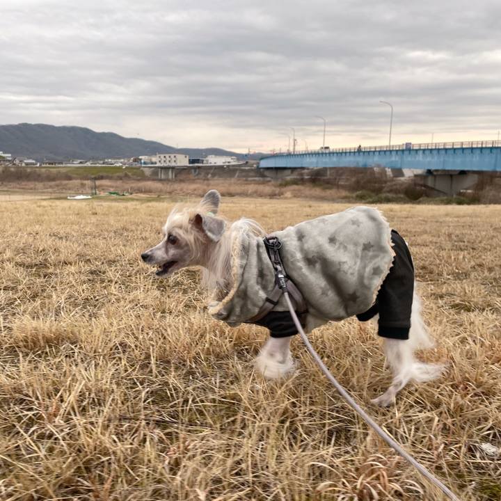 3d887b0f a3a2 4ab3 9137 e5ed24cf52e4 1772783949527