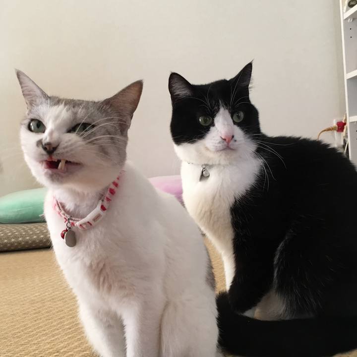 3d888de5 0412 4fbc 8e7f 5a7c57141f11 1513766732942