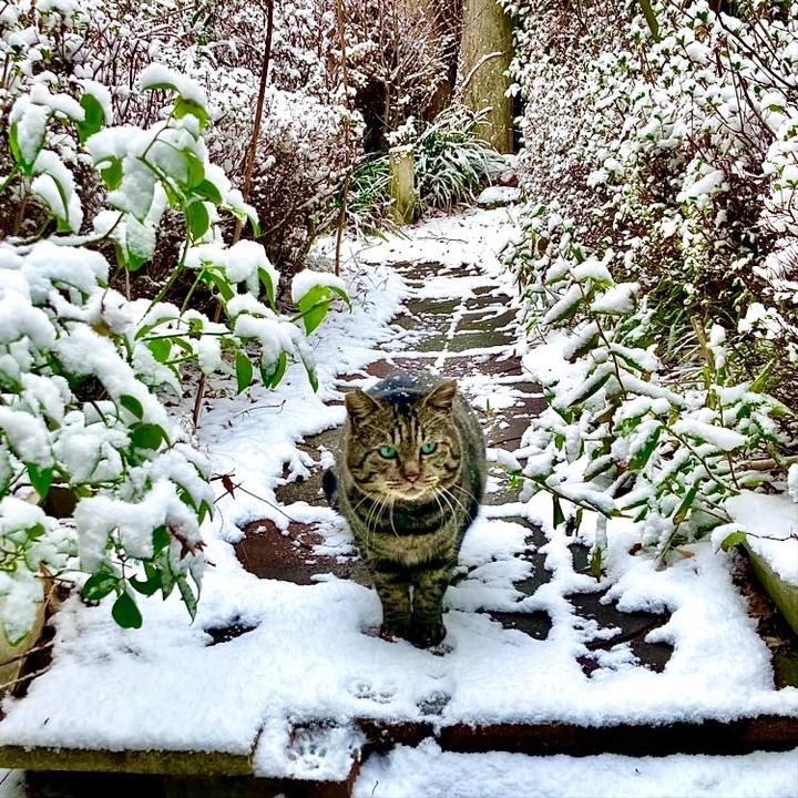 3d8892fc d939 485b bb20 35ee50340706 1690412270716