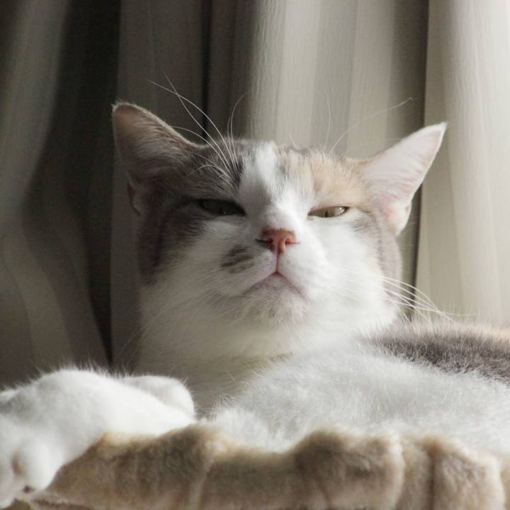 3d88a94d f579 49e8 9022 5ca89b81217a 1571731999458