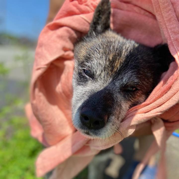 3d88cc79 5fc1 4a06 bcfc 1553cf6dc5f8 1684574465066