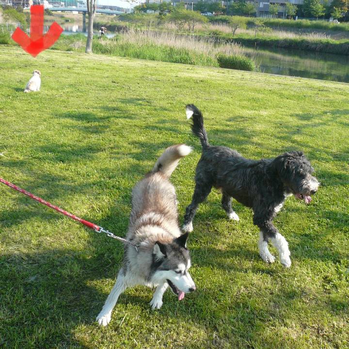 3d88d956 08ee 4b3c 9b64 9dac70809673 1624363723335