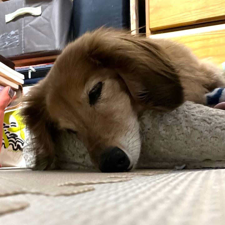 3d88df81 a86d 4a15 920f 6c566b5c1113 1678881841230