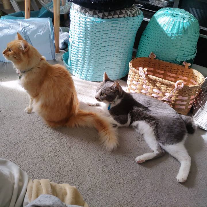 3d897e5c c51f 43fe acc2 10a3395f8827 1668828961427