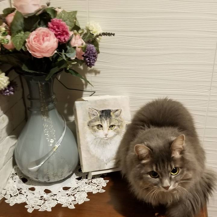 3d89e785 930f 4a67 b67f f3cf0932f618 1574846543112