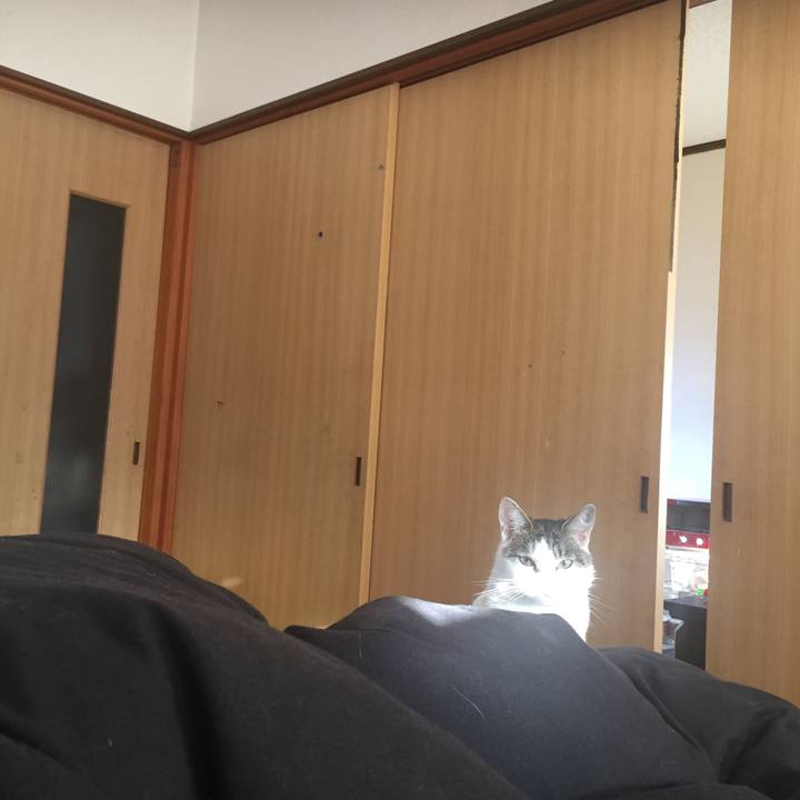 3d89f959 9d8d 42e9 ae25 6d0396c8e10e 1541284858051