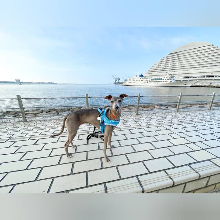 3d89fe2b 990d 4d2b 80da ffaa306f0124 1727339213698