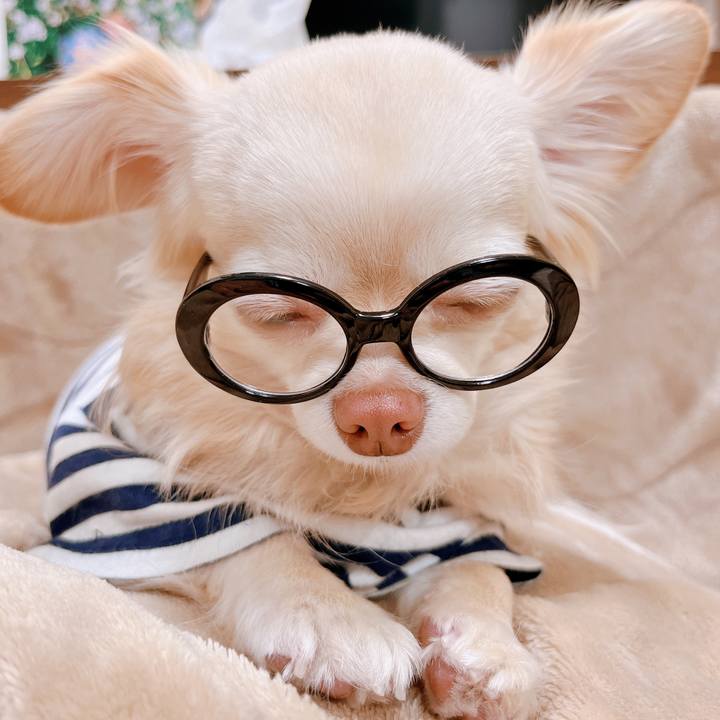 3d8a020a e1a0 4dc1 94fa eee4e6bfd2da 1675255515802