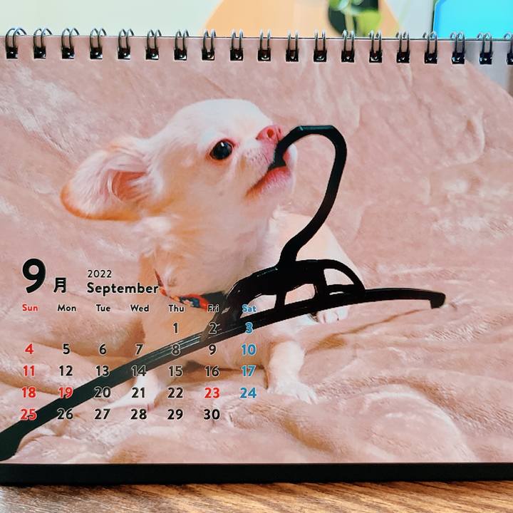 3d8a05f7 b245 4531 bb00 f2ff0fe6ba72 1662004341455