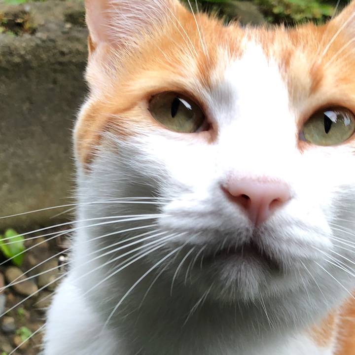 3d8a630a 8814 4219 b074 e874c4641e72 1539230124808