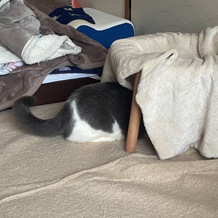 3d8a7690 ae76 42b6 80ed 27ca208fca7f 1735621523161