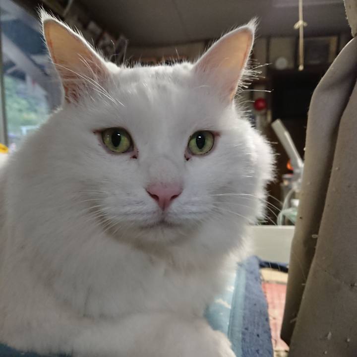 3d8a8155 c081 4fbb 85ef 6b21fc32c3c9 1571092227656